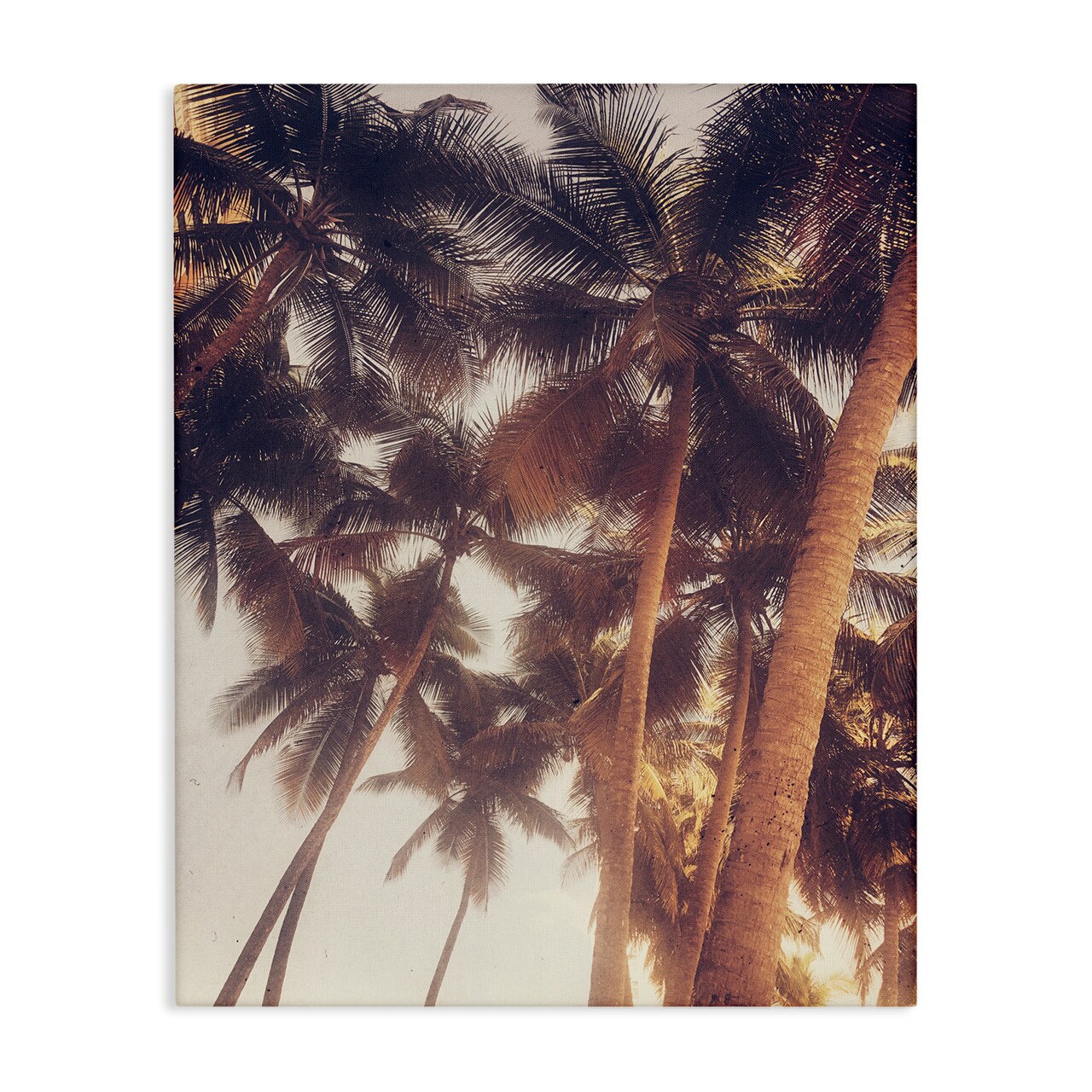 Stupell Industries Sunlit Palm Tree Canvas Wall Art Design by Acosta